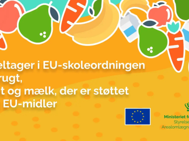 EU Skoleordning